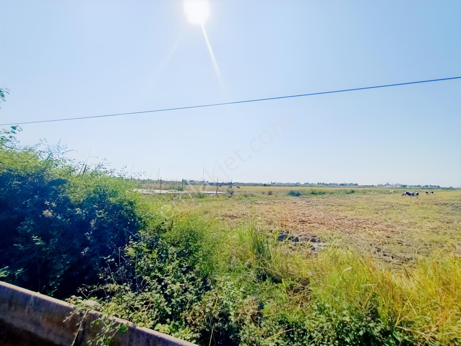 Antalya Serik Boğazkent İmara Yakın 2070 M2 Tapulu Satılık Tarla — fotoğraf 4
