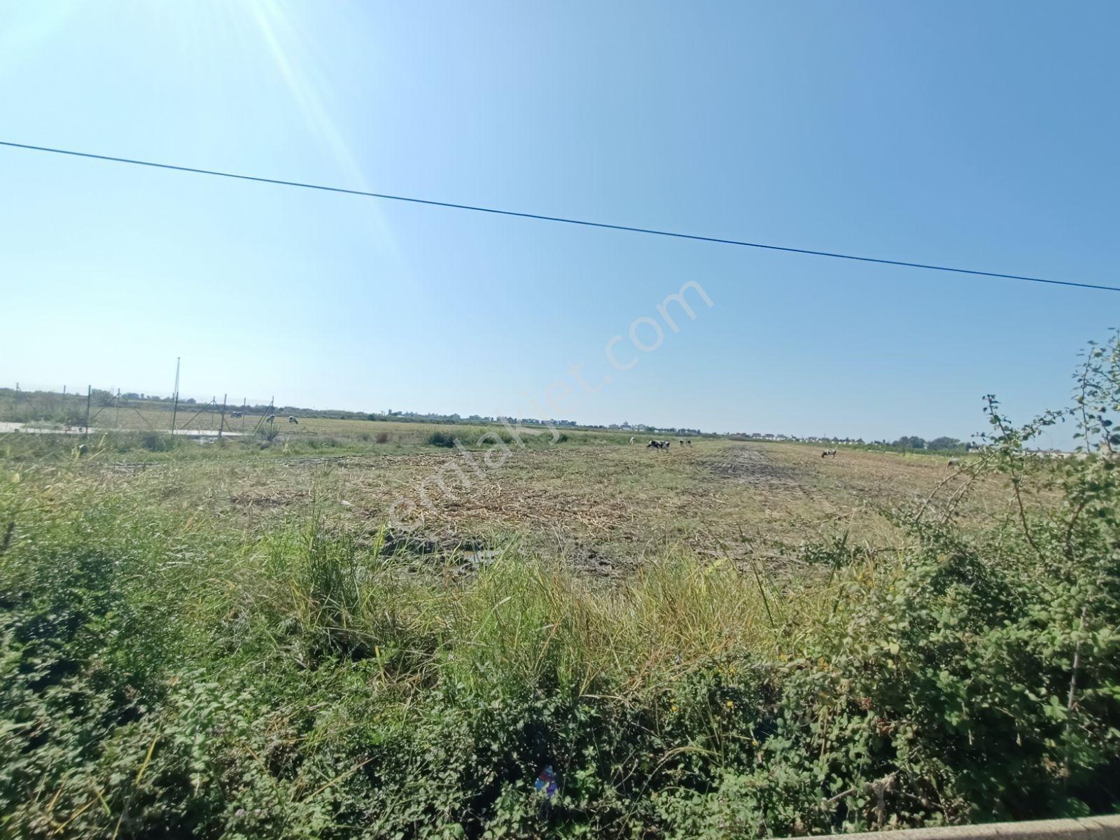 Antalya Serik Boğazkent İmara Yakın 2070 M2 Tapulu Satılık Tarla — fotoğraf 5