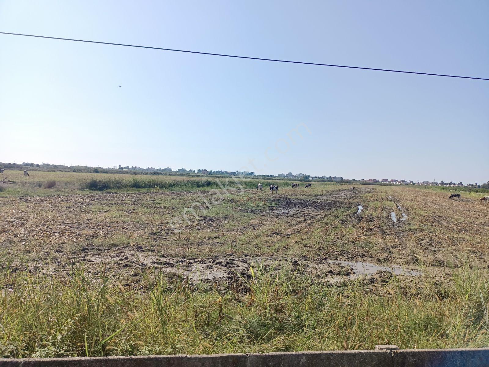 Antalya Serik Boğazkent İmara Yakın 2070 M2 Tapulu Satılık Tarla — fotoğraf 14