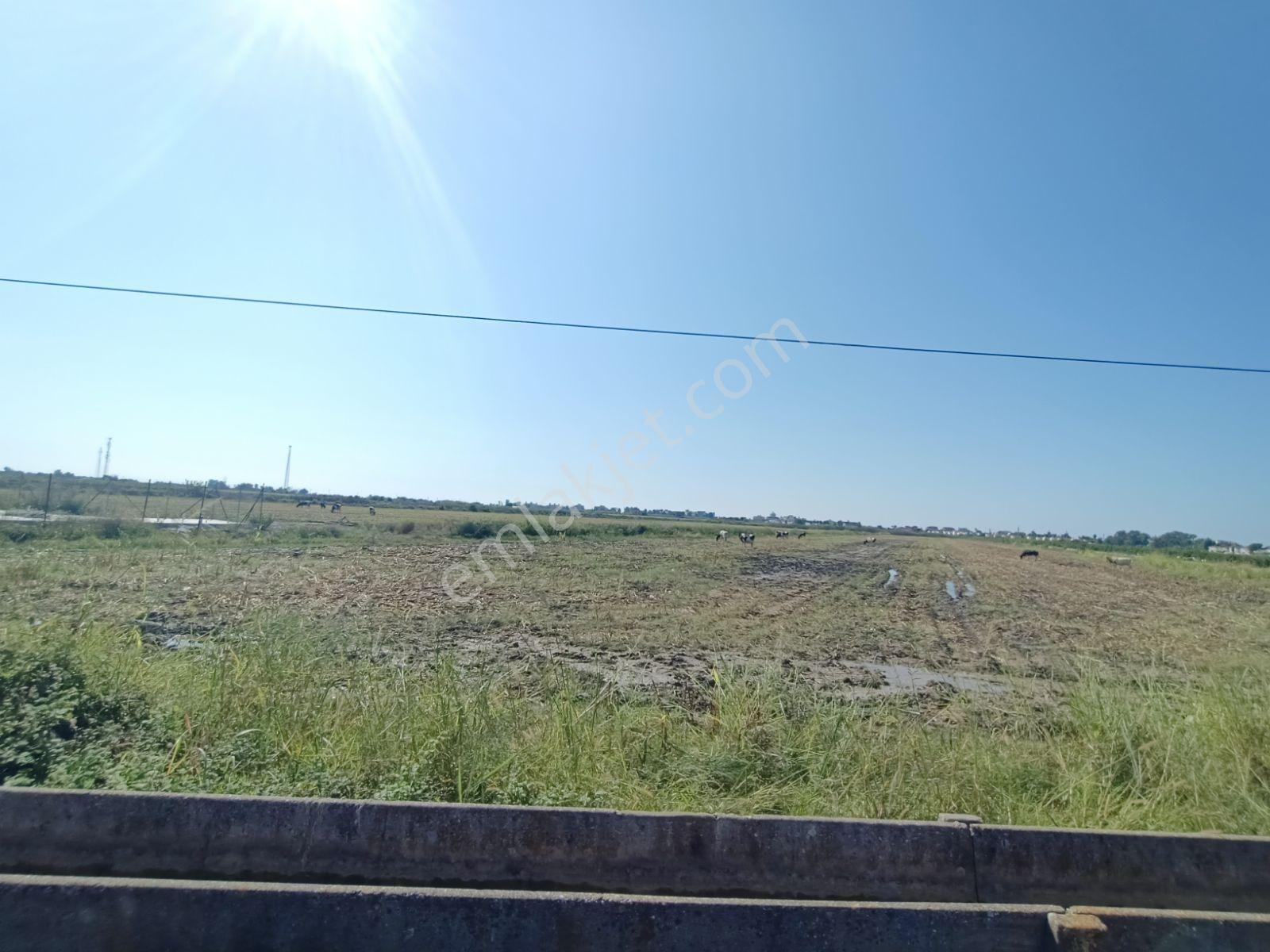 Antalya Serik Boğazkent İmara Yakın 2070 M2 Tapulu Satılık Tarla — fotoğraf 15