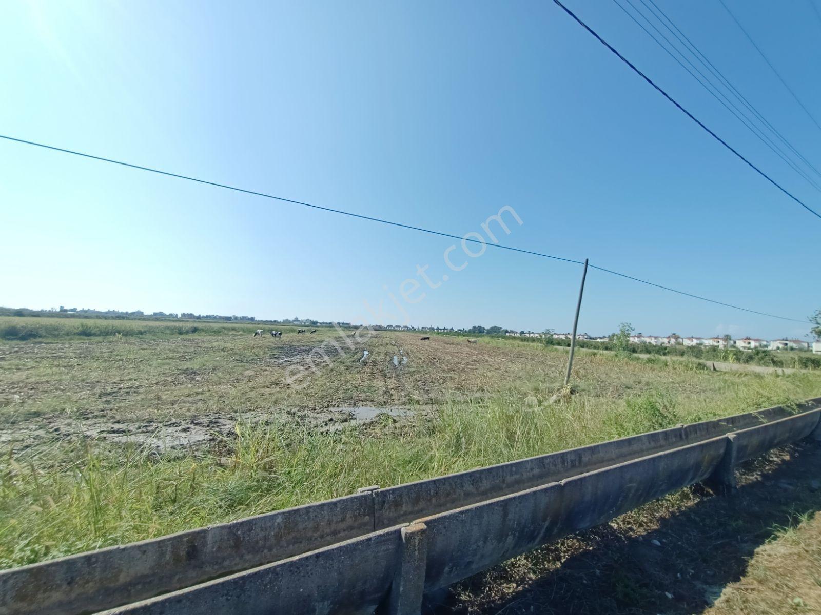Antalya Serik Boğazkent İmara Yakın 2070 M2 Tapulu Satılık Tarla — fotoğraf 16