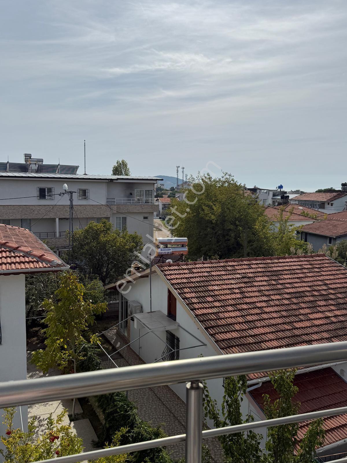 Avşa Adası Deniz Mah Değirmen Ardı Mevkii 3+1 Dublex Su Kuyusuna Kadar Mevcuttur — fotoğraf 8