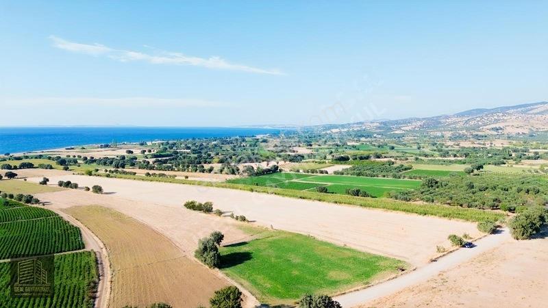 Kösederede 2 Parsel Toplam 34.806 M² Satılık Yatırımlık Arazi — fotoğraf 4
