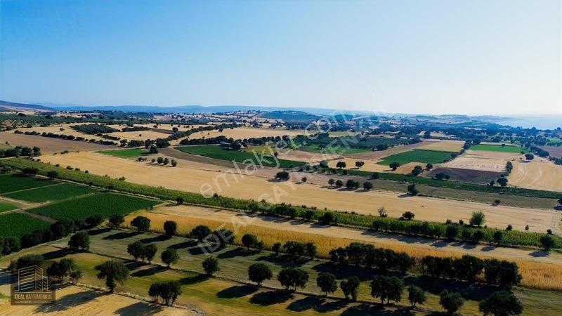 Kösederede 2 Parsel Toplam 34.806 M² Satılık Yatırımlık Arazi — fotoğraf 5
