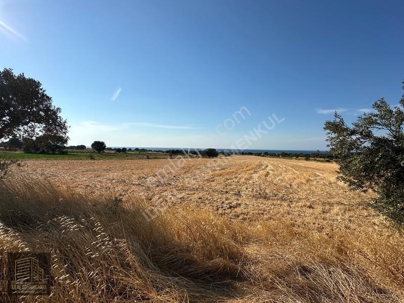Kösederede 2 Parsel Toplam 34.806 M² Satılık Yatırımlık Arazi — fotoğraf 6