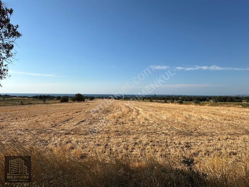 Kösederede 2 Parsel Toplam 34.806 M² Satılık Yatırımlık Arazi — fotoğraf 9