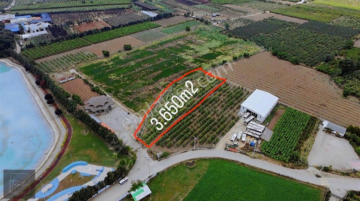 Bursa Çukurca'da Sukay Park Yanı Asfalta Cephe Arazi — fotoğraf 2