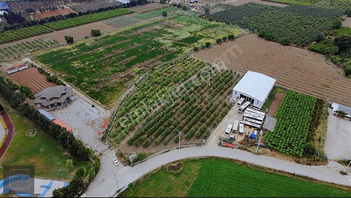 Bursa Çukurca'da Sukay Park Yanı Asfalta Cephe Arazi — fotoğraf 3