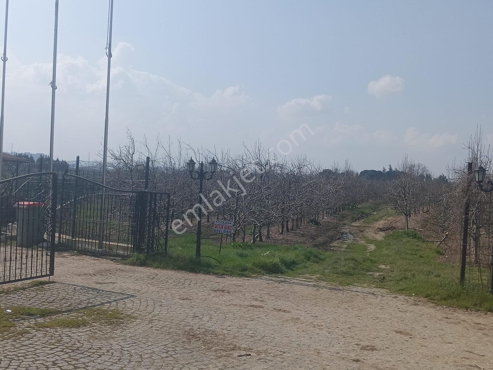 Bursa Çukurca'da Sukay Park Yanı Asfalta Cephe Arazi — fotoğraf 8