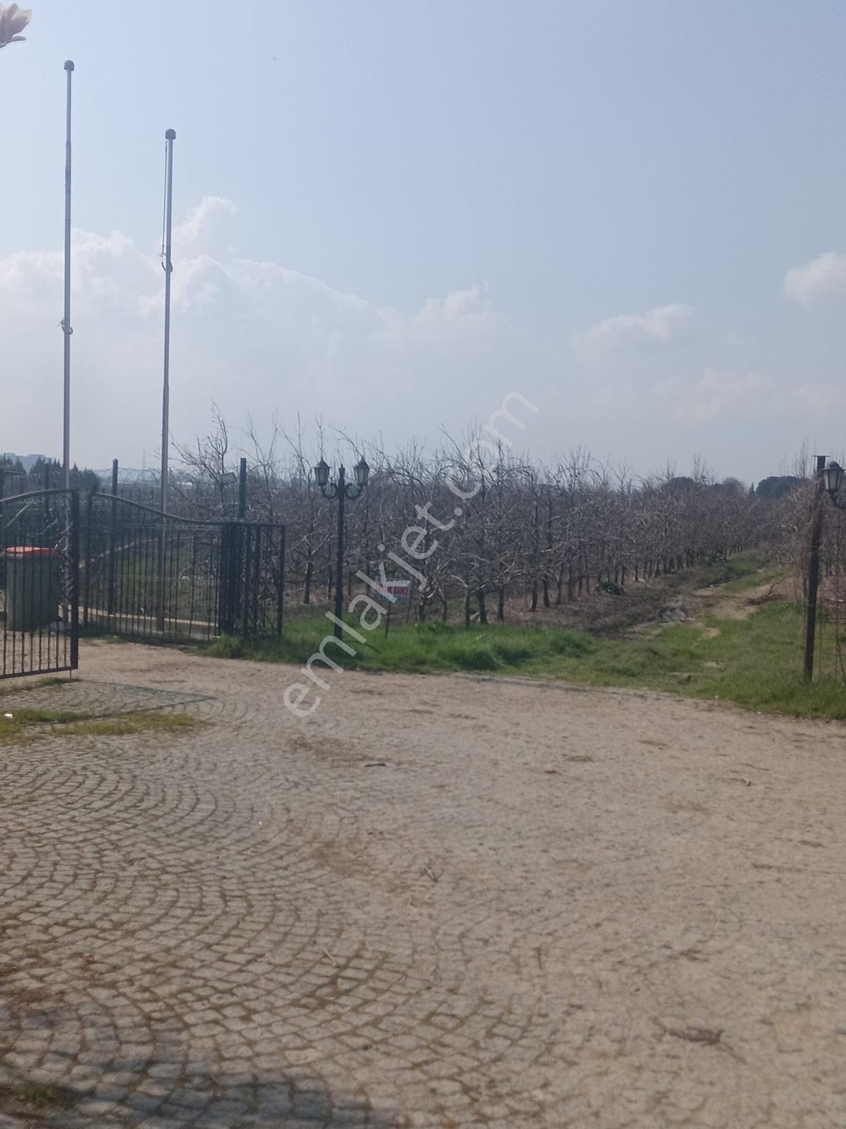 Bursa Çukurca'da Sukay Park Yanı Asfalta Cephe Arazi — fotoğraf 10