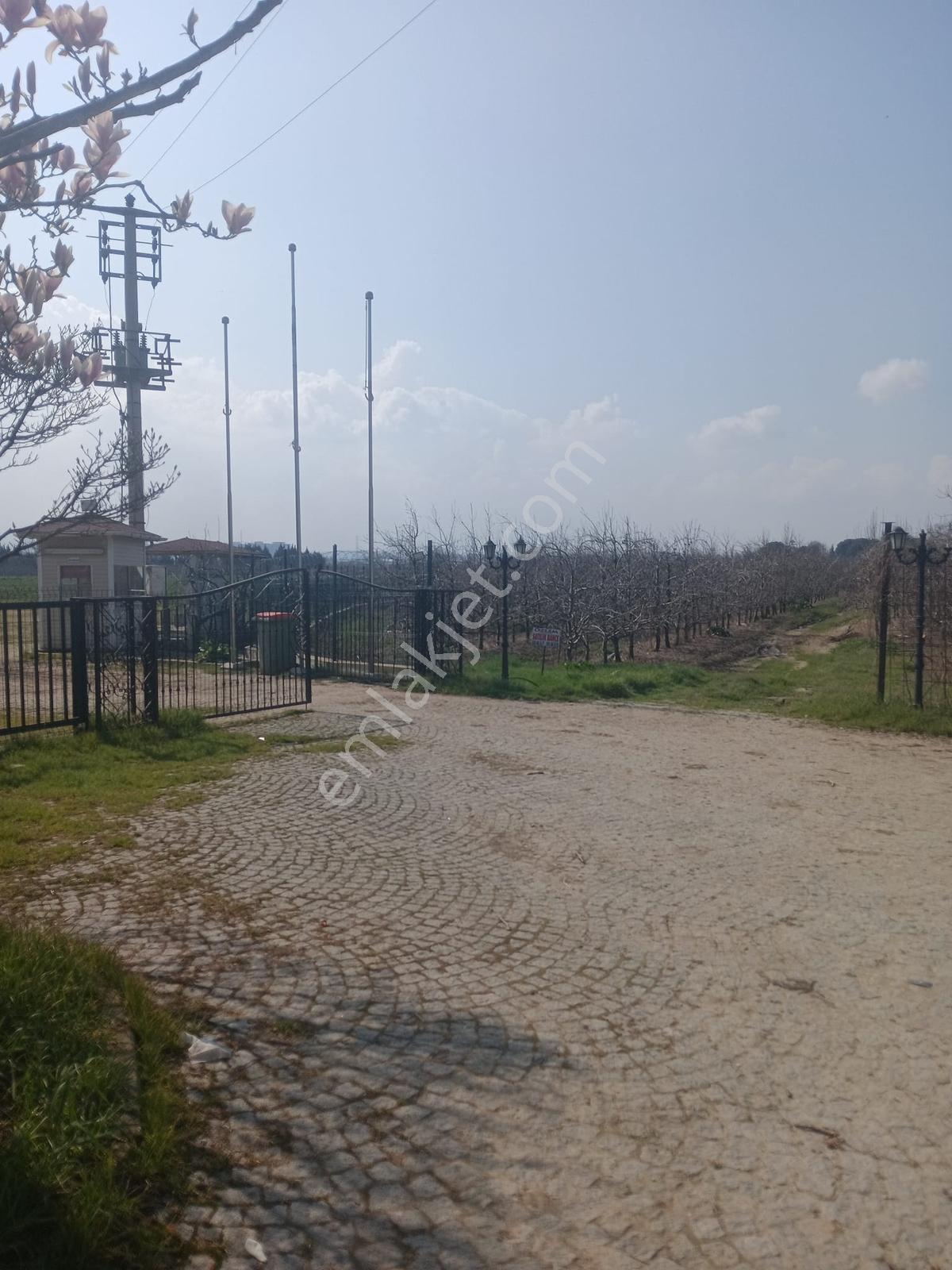 Bursa Çukurca'da Sukay Park Yanı Asfalta Cephe Arazi — fotoğraf 13