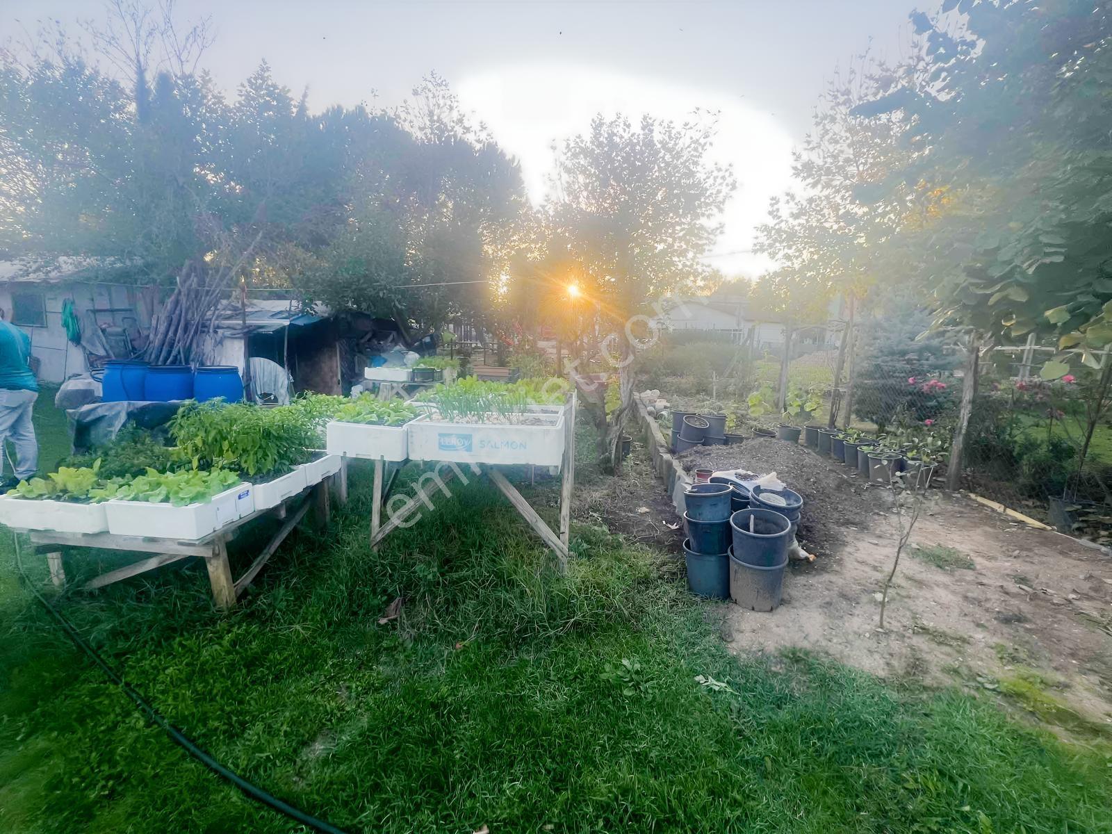 Kartepe Sarımeşede Modern Tasarımlı, Bahçeli Müstakil Ev! — fotoğraf 16