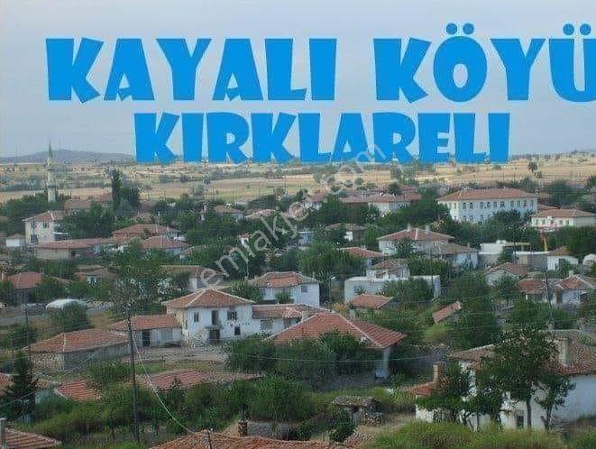 Kırklareli Kayalı 'da Satılık 8000 Metrekare Tek Tapu — fotoğraf 3