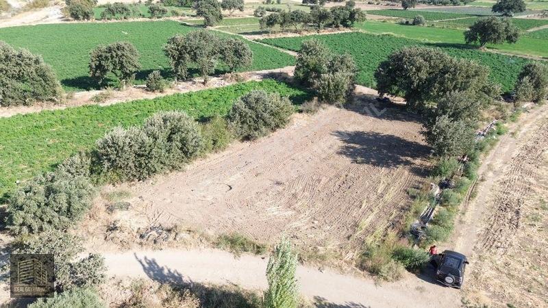 Denize 850Mt Yolu & Suyu Olan 1.331 M² Yatırımlık Tarla