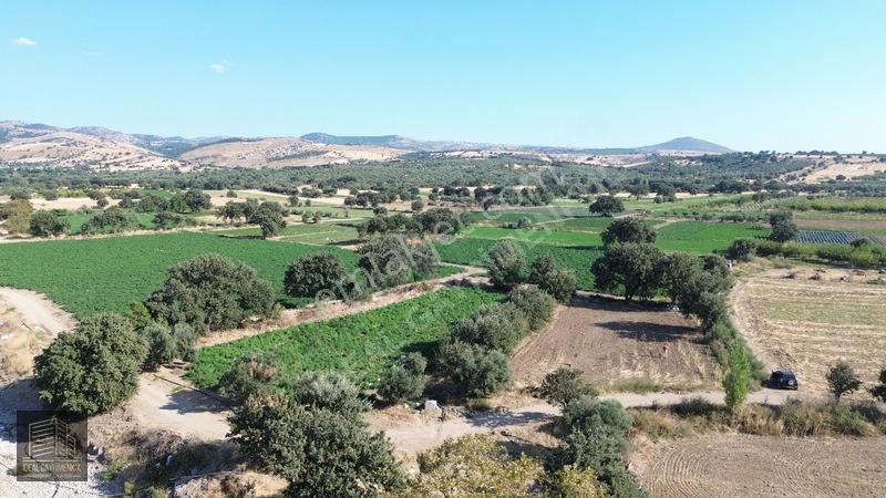 Denize 850mt Yolu & Suyu Olan 1.331 M² Yatırımlık Tarla — fotoğraf 4
