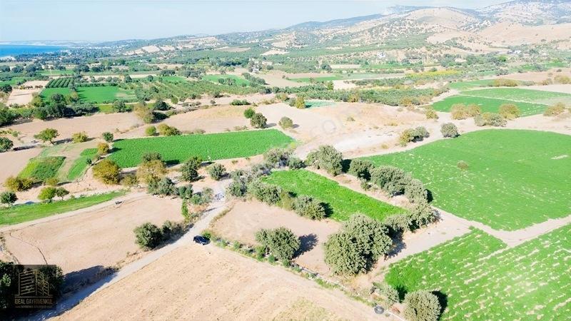 Denize 850mt Yolu & Suyu Olan 1.331 M² Yatırımlık Tarla — fotoğraf 5