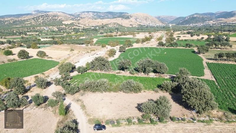 Denize 850mt Yolu & Suyu Olan 1.331 M² Yatırımlık Tarla — fotoğraf 7