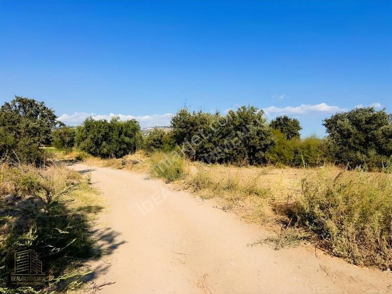 Denize 850mt Yolu & Suyu Olan 1.331 M² Yatırımlık Tarla — fotoğraf 8