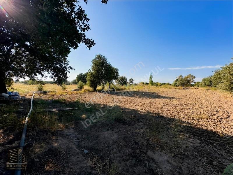 Denize 850mt Yolu & Suyu Olan 1.331 M² Yatırımlık Tarla — fotoğraf 9