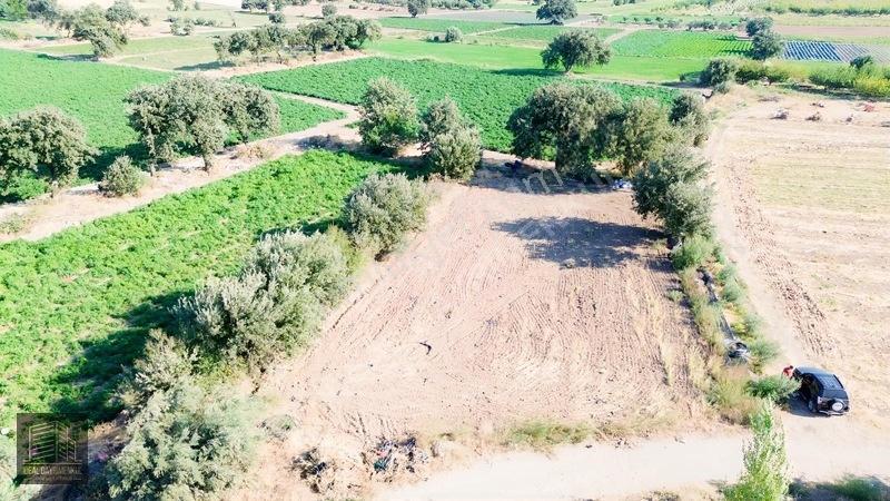 Denize 850mt Yolu & Suyu Olan 1.331 M² Yatırımlık Tarla — fotoğraf 10