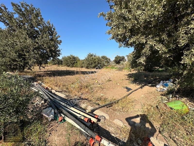 Denize 850mt Yolu & Suyu Olan 1.331 M² Yatırımlık Tarla — fotoğraf 11