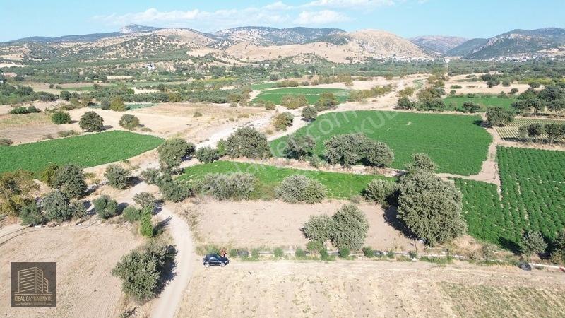 Denize 850mt Yolu & Suyu Olan 1.331 M² Yatırımlık Tarla — fotoğraf 12