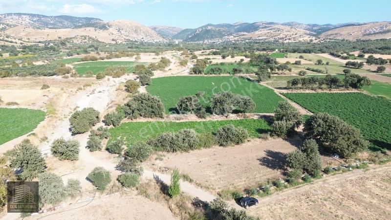 Denize 850mt Yolu & Suyu Olan 1.331 M² Yatırımlık Tarla — fotoğraf 13