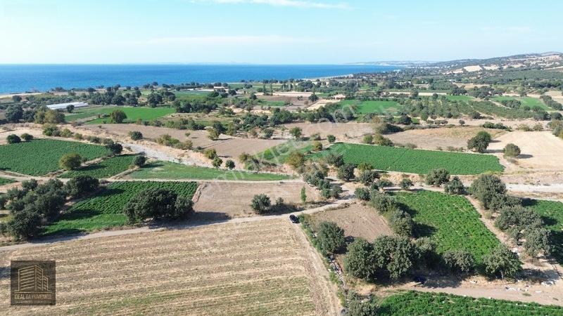 Denize 850mt Yolu & Suyu Olan 1.331 M² Yatırımlık Tarla — fotoğraf 14