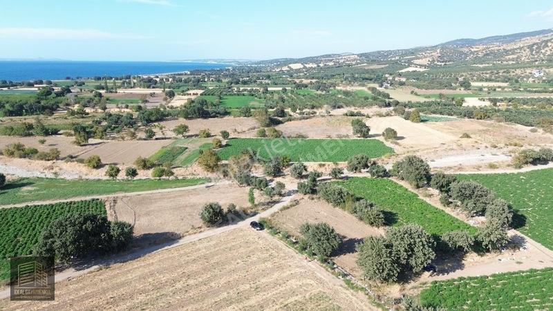 Denize 850mt Yolu & Suyu Olan 1.331 M² Yatırımlık Tarla — fotoğraf 15