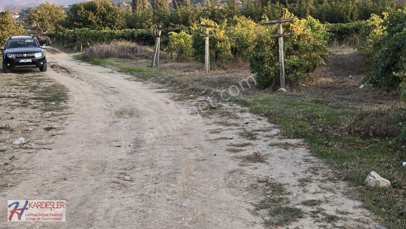 Sakarya P.ova Şeyhvarmaz Mah. Yola Sıfır İmara Yakın Üzüm Bağı — fotoğraf 7