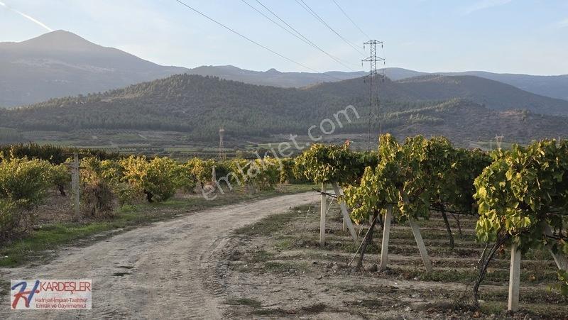 Sakarya P.ova Şeyhvarmaz Mah. Yola Sıfır İmara Yakın Üzüm Bağı — fotoğraf 8