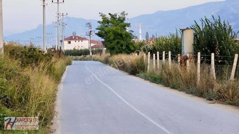 Sakarya P.ova Şeyhvarmaz Mah. Yola Sıfır İmara Yakın Üzüm Bağı — fotoğraf 14