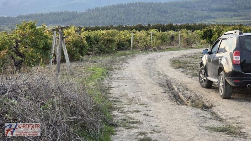 Sakarya P.ova Şeyhvarmaz Mah. Yola Sıfır İmara Yakın Üzüm Bağı — fotoğraf 22