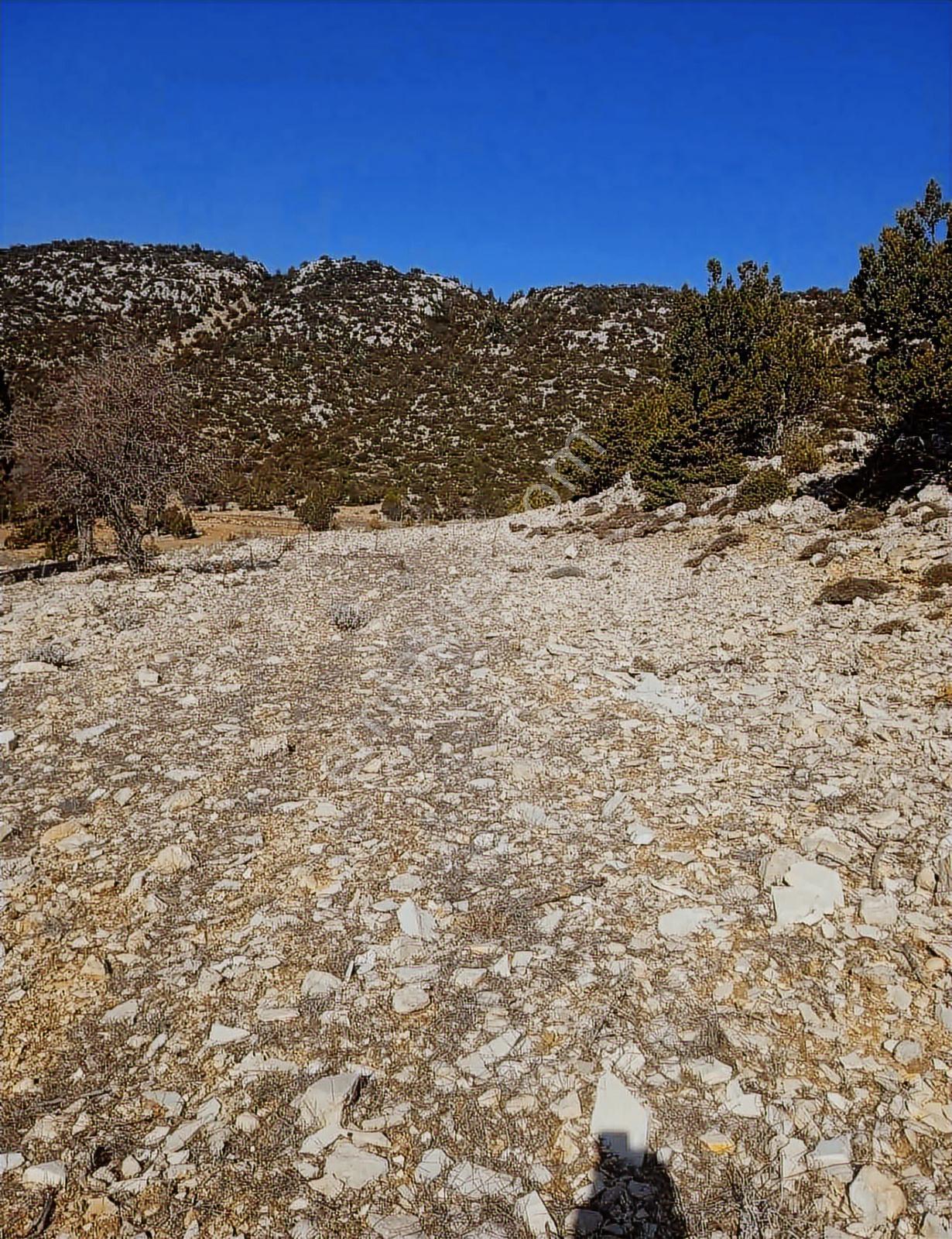 Silifke Gündüzler'de 6.248 M² Kök Tapulu Tarla — fotoğraf 2