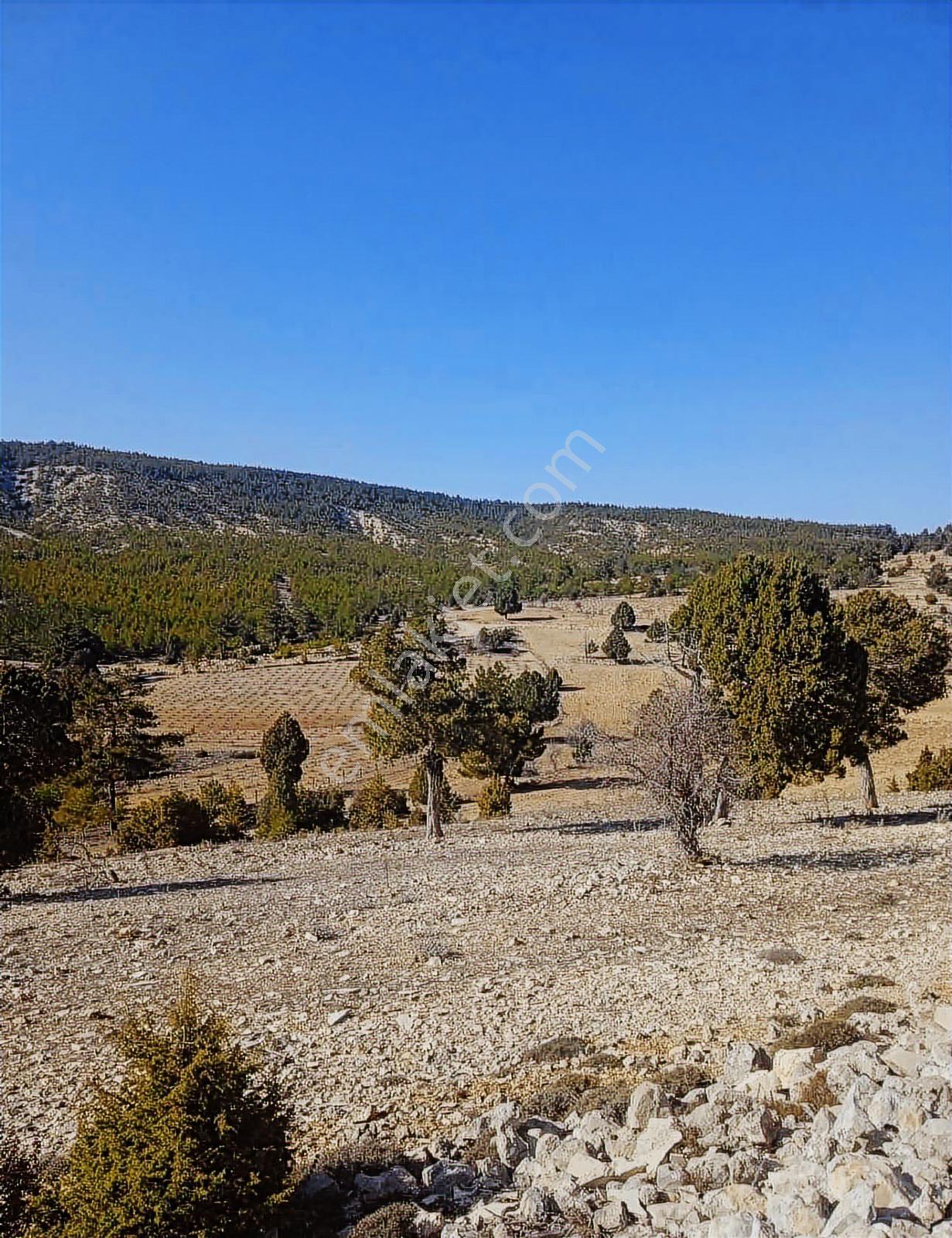 Silifke Gündüzler'de 6.248 M² Kök Tapulu Tarla — fotoğraf 3