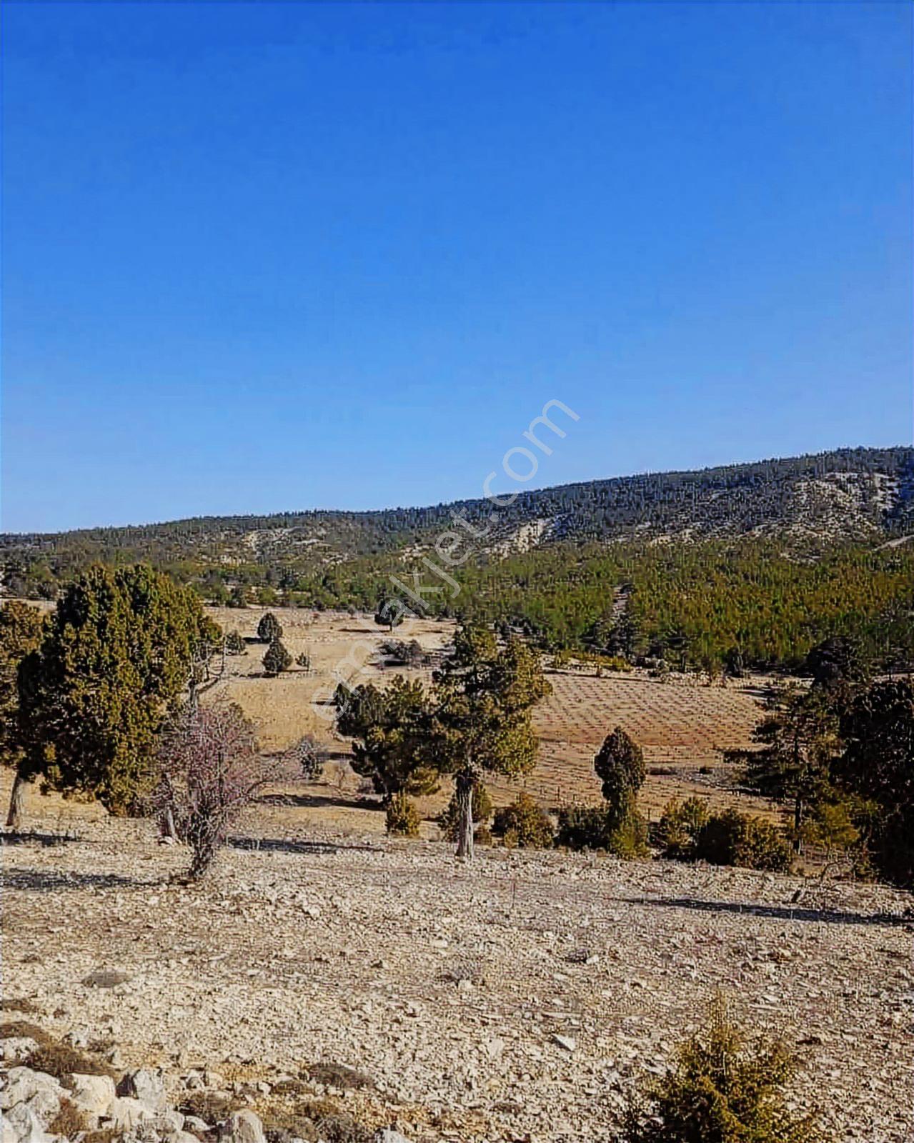 Silifke Gündüzler'de 6.248 M² Kök Tapulu Tarla — fotoğraf 5