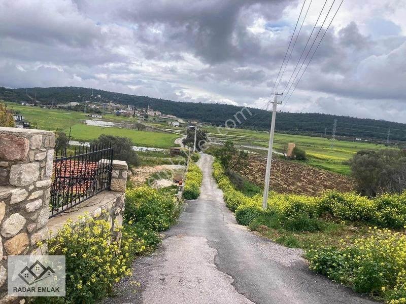 Urla Nohutalanda 1191 M2 Alan İçerisinde 3+1 100 M2 Taş Ev — fotoğraf 2