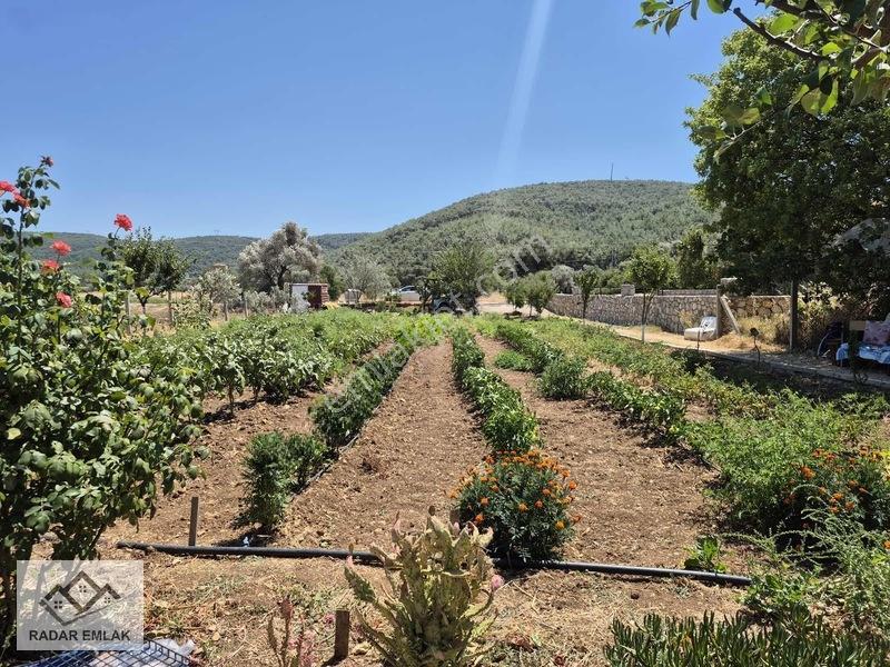 Urla Nohutalanda 1191 M2 Alan İçerisinde 3+1 100 M2 Taş Ev — fotoğraf 3