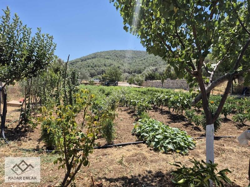 Urla Nohutalanda 1191 M2 Alan İçerisinde 3+1 100 M2 Taş Ev — fotoğraf 5