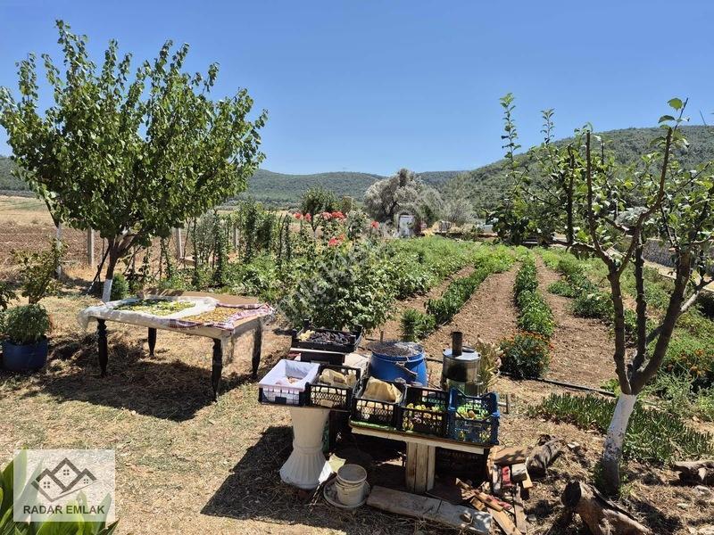 Urla Nohutalanda 1191 M2 Alan İçerisinde 3+1 100 M2 Taş Ev — fotoğraf 6
