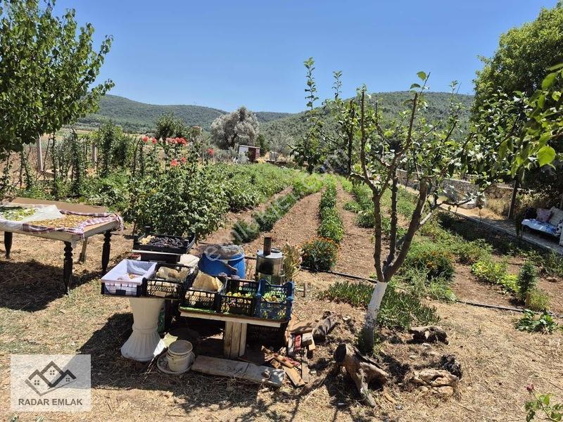 Urla Nohutalanda 1191 M2 Alan İçerisinde 3+1 100 M2 Taş Ev — fotoğraf 13