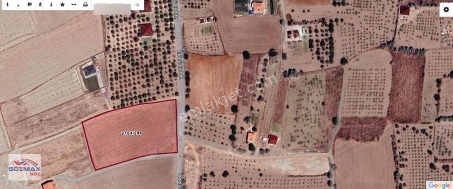 İncesu Süksünde Asfalt Yola Cepheli Fırsat Tarla — fotoğraf 6