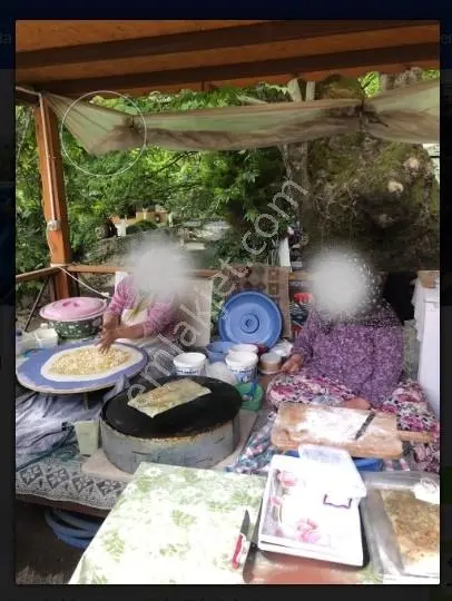 İzmir-bayındır-dereköy De Üretim Yolu Olan 4238 M2 Zeytinlik — fotoğraf 3