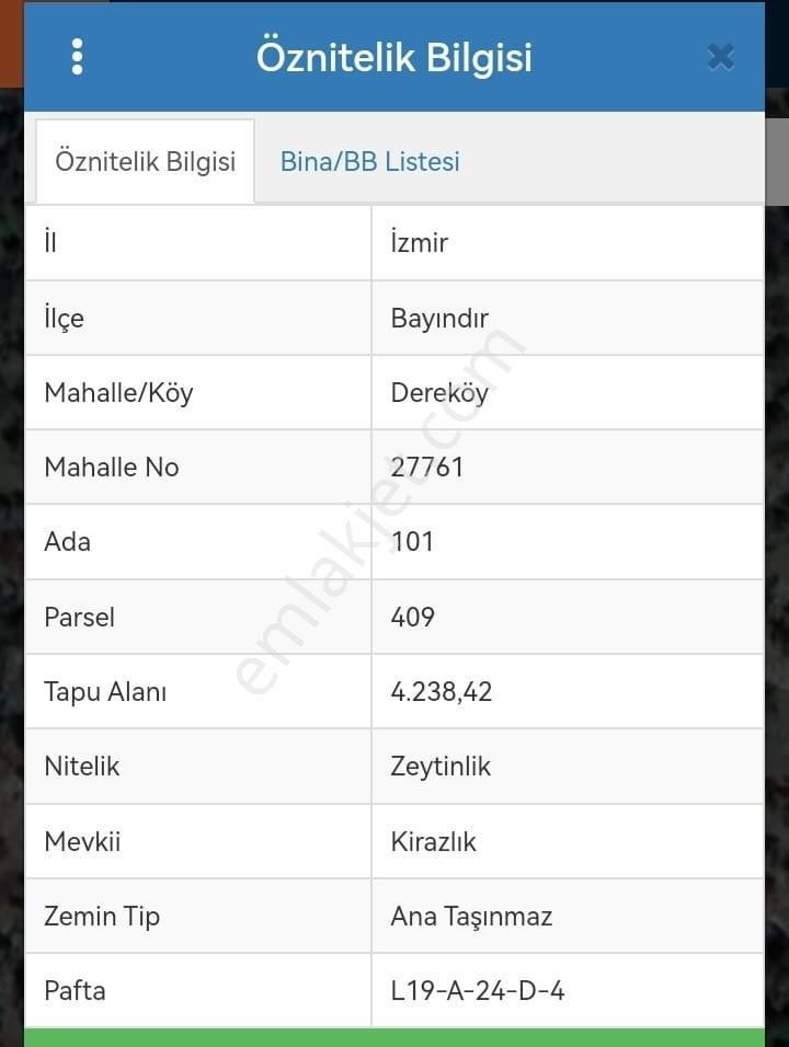 İzmir-bayındır-dereköy De Üretim Yolu Olan 4238 M2 Zeytinlik — fotoğraf 7