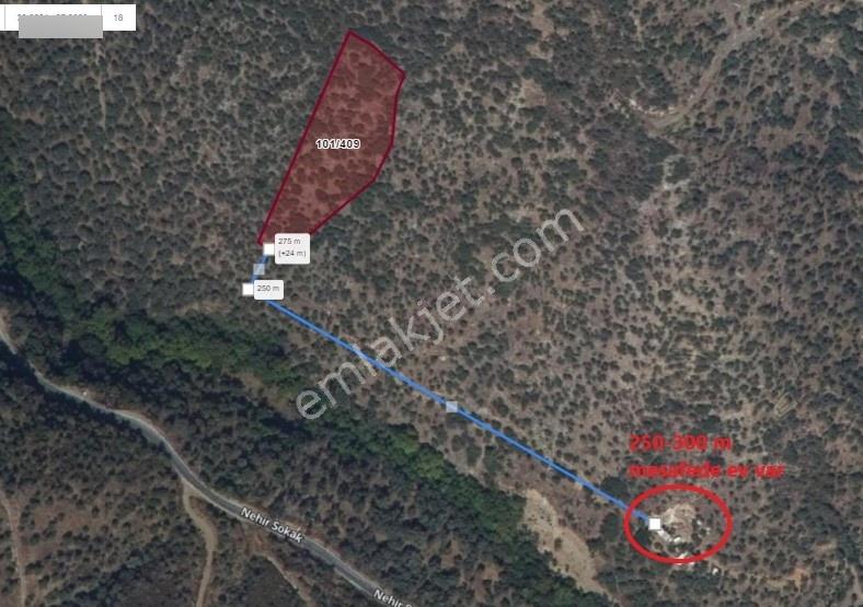 İzmir-bayındır-dereköy De Üretim Yolu Olan 4238 M2 Zeytinlik — fotoğraf 9