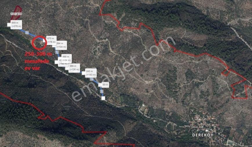 İzmir-bayındır-dereköy De Üretim Yolu Olan 4238 M2 Zeytinlik — fotoğraf 10