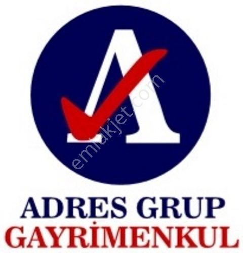 İzmir-bayındır-dereköy De Üretim Yolu Olan 4238 M2 Zeytinlik — fotoğraf 11