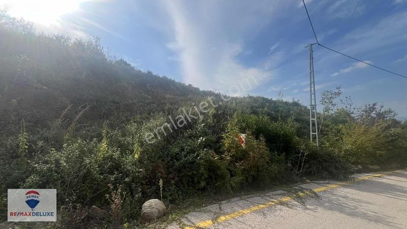 Gölcük Yeni Ferhadiye'de 1.706m2 Ana Yola Cephe Satılık Arsa — fotoğraf 16