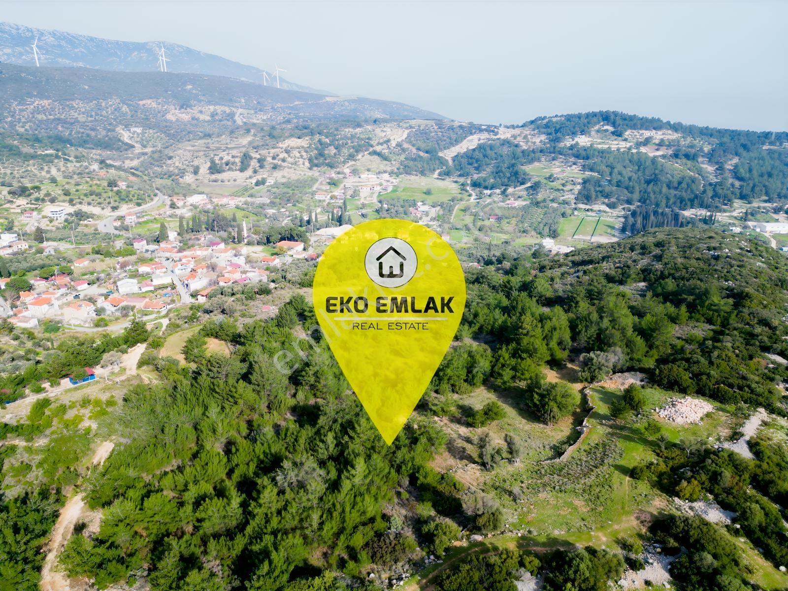 Eko Emlaktan İzmir Karaburunda Deniz Manzaralı Çiftlik Arazisi