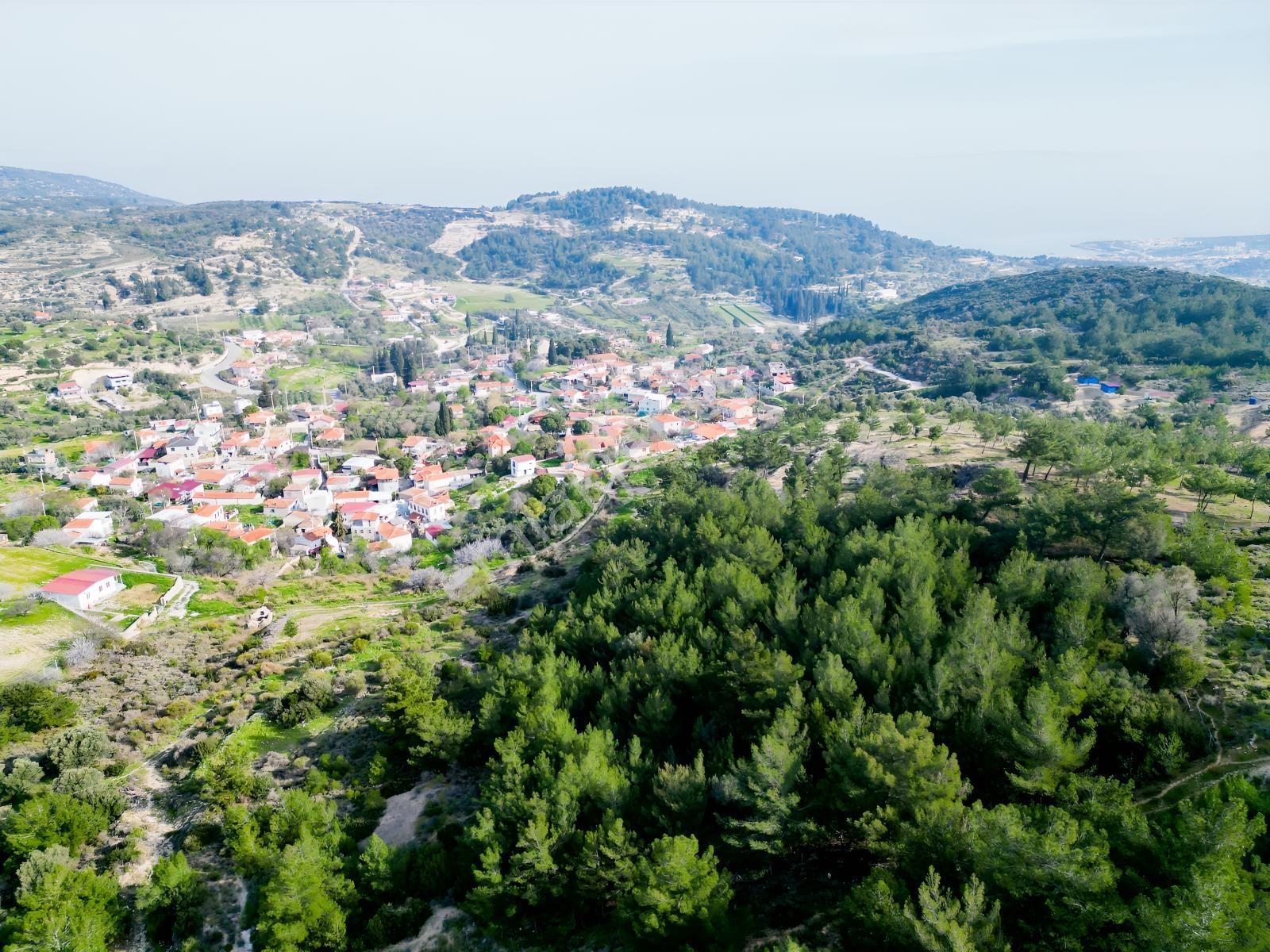 Eko Emlaktan İzmir Karaburunda Deniz Manzaralı Çiftlik Arazisi — fotoğraf 3